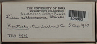 Image Associated With the Occurence